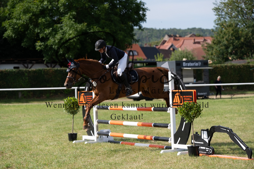 A7V01483 | Pferdefotograf