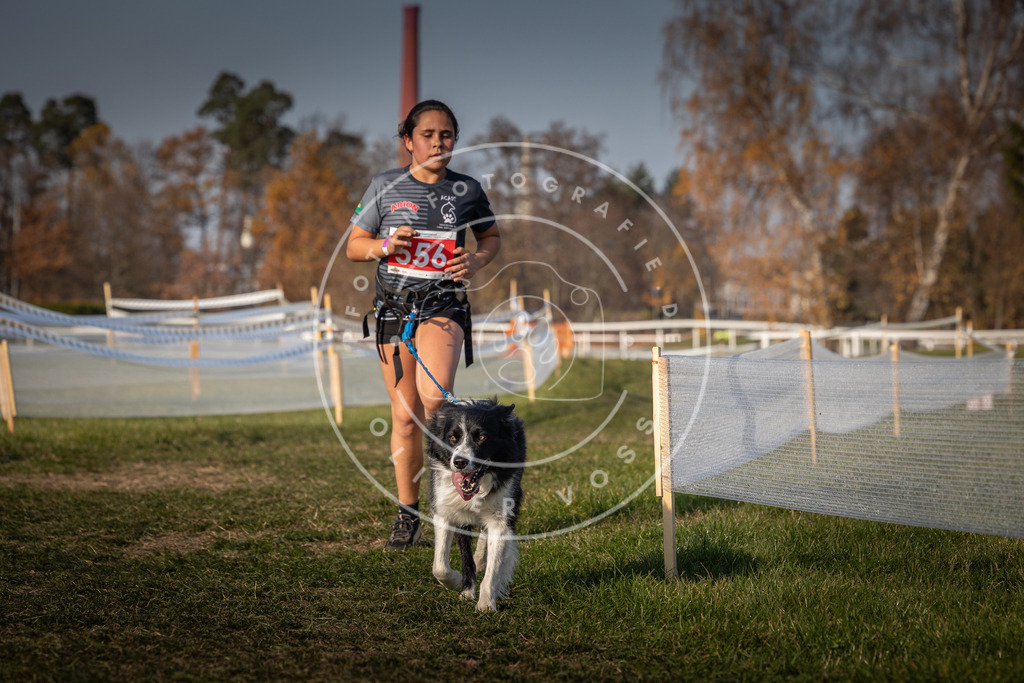 CaniXpix_0L8A9416 | Hundefotografie, Tierfotograf, Pfotenfotografie, Fotoshooting Hund, Hunde Portrait, Hundesport, Hundeportraits, Heideshooting, Hunde, Sportfotograf, Hundefotograf, Turnierhundsport, THS,  - Realisiert mit Pictrs.com