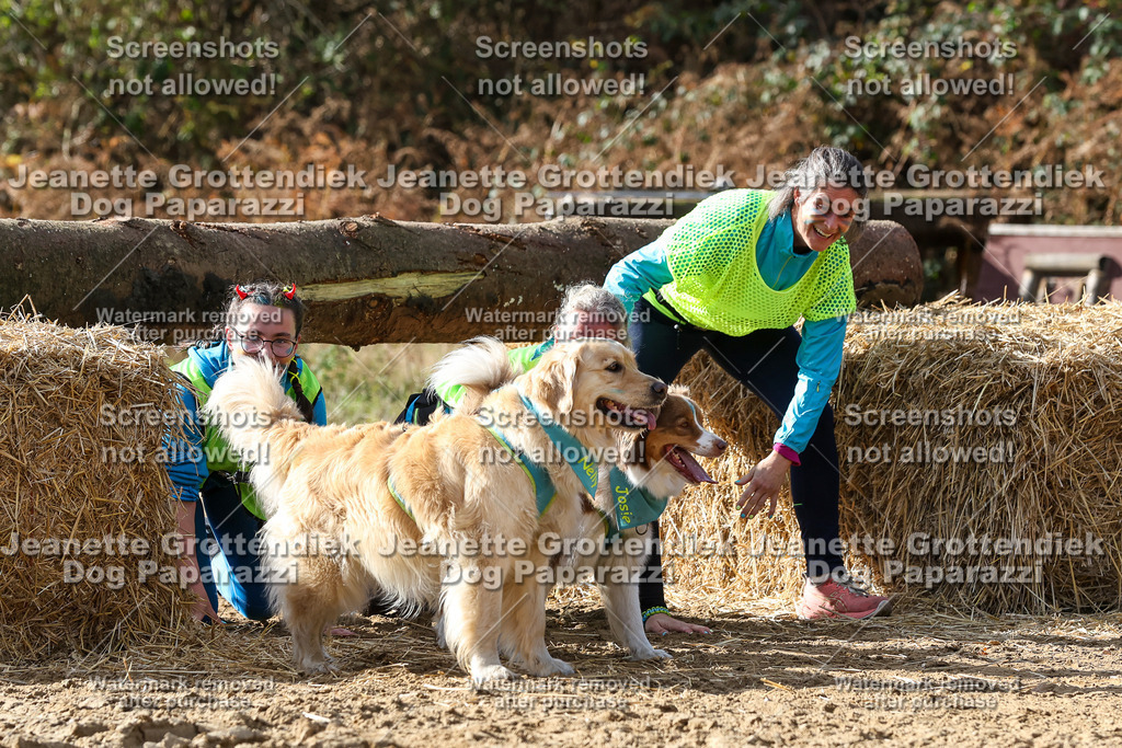 Dog Paparazzi - Strongdog 10-25-5587 | Dog Paparazzi Jeanette Grottendiek Fotografie & Videografie - Realisiert mit Pictrs.com