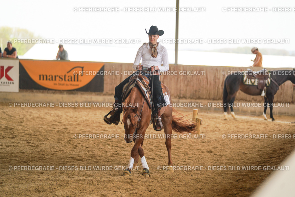 DSC05949 | Pferdegrafie