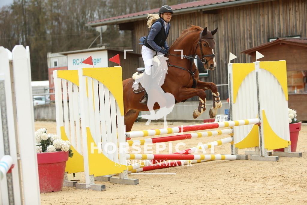 DL2Q1863 | Willkommen bei Brunnmayr - Design & Fotografie – Ihrem Spezialisten für Reitturniere und Pferdeveranstaltungen in Oberösterreich, Salzburg und Bayern! Seit über 17 Jahren sind wir leidenschaftlich dabei.