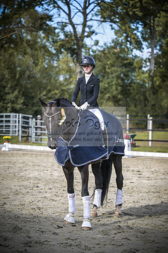 DOS_0026 | Entdecke hochwertige Reitturnierfotos von Foto Oger. Professionell, emotional und authentisch – jetzt Lieblingsmomente im Shop bestellen.Deutschlandweite Turnierfotografie. - Realisiert mit Pictrs.com