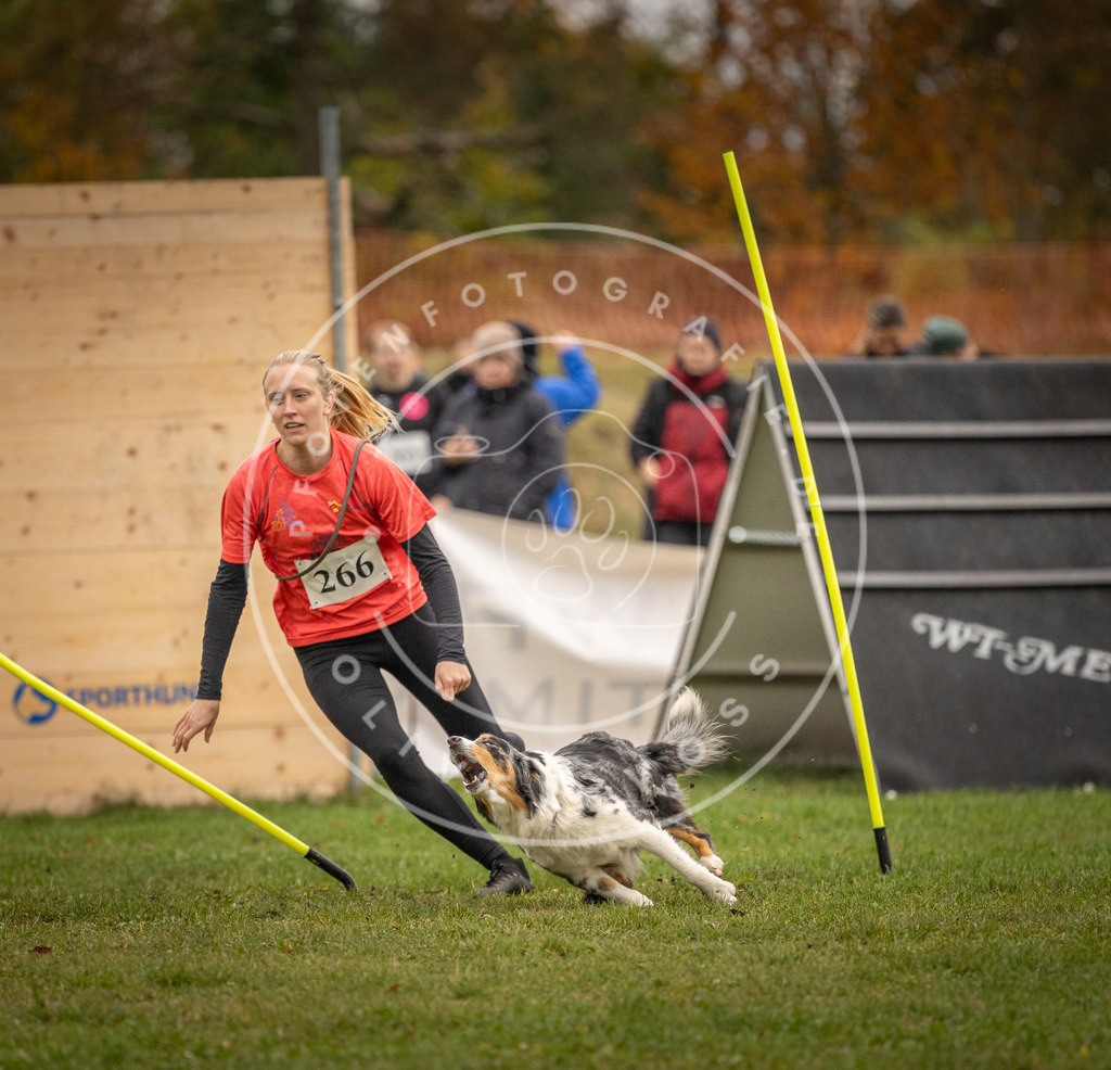 Pfotenfotografie_DV3A7081 | Hundefotografie, Tierfotograf, Pfotenfotografie, Fotoshooting Hund, Hunde Portrait, Hundesport, Hundeportraits, Heideshooting, Hunde, Sportfotograf, Hundefotograf, Turnierhundsport, THS,  - Realisiert mit Pictrs.com