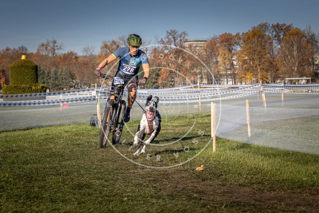 CaniXpix_0L8A5217 | Hundefotografie, Tierfotograf, Pfotenfotografie, Fotoshooting Hund, Hunde Portrait, Hundesport, Hundeportraits, Heideshooting, Hunde, Sportfotograf, Hundefotograf, Turnierhundsport, THS,  - Realisiert mit Pictrs.com