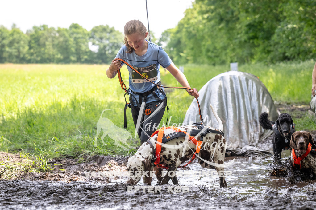 1228_ZZ92491 | kk-dogfotos