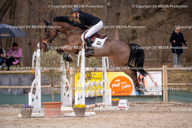 Kranichstein Tag 2-2292 | dv-media-shop - Realized with Pictrs.com