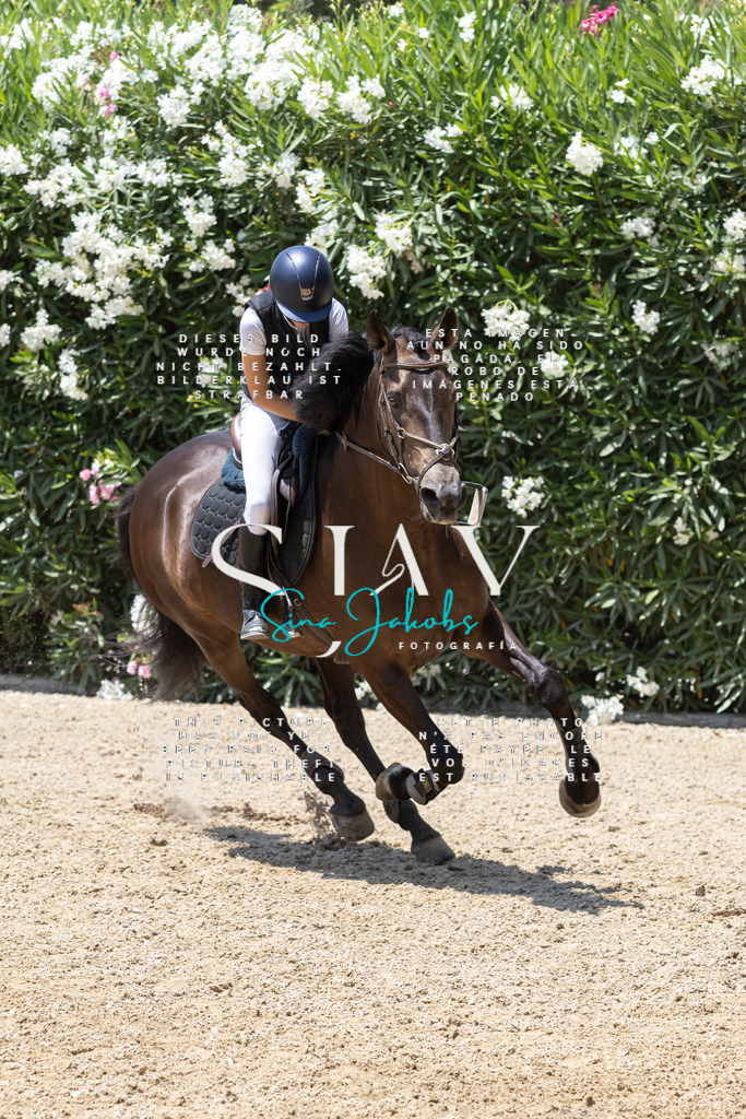 IMG_1279 | s-jay-photography - Realisiert mit Pictrs.com