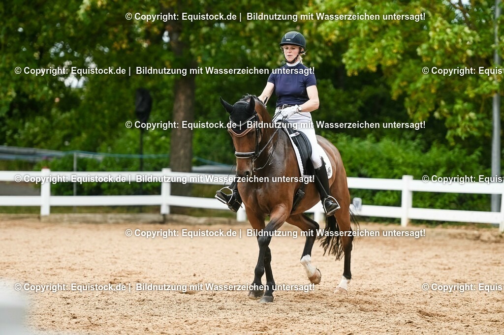 20230716_01_Dressurprüfung Kl.M_0425 | equistock