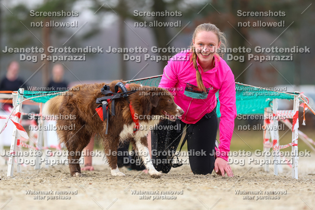 Dog Paparazzi - Strongdog North Mrz26-4074 | Dog Paparazzi Jeanette Grottendiek Fotografie & Videografie - Realisiert mit Pictrs.com