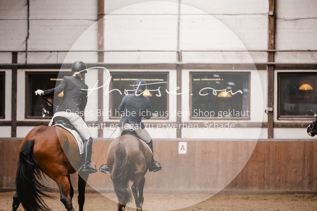 3I6A7408 | Stimmungsvolle Portraits und Reitsportfotografie im Ruhrgebiet und im Münsterland.

Pferdefotografie, Hundefotografie, Tierfotografie, Reportagen, Portraits von Tier und Mensch, Turnierfotografie in Bochum, Recklinghausen, Marl, Haltern am See, Dülmen.. - Realisiert mit Pictrs.com