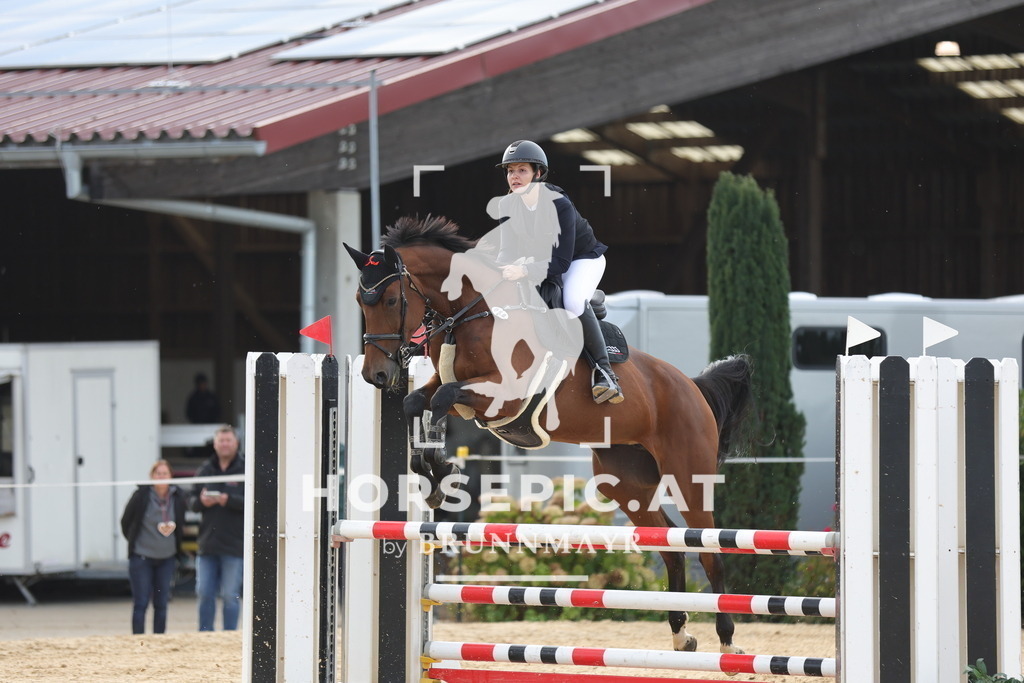 0P6A5154 | Willkommen bei Brunnmayr - Design & Fotografie – Ihrem Spezialisten für Reitturniere und Pferdeveranstaltungen in Oberösterreich, Salzburg und Bayern! Seit über 17 Jahren sind wir leidenschaftlich dabei.