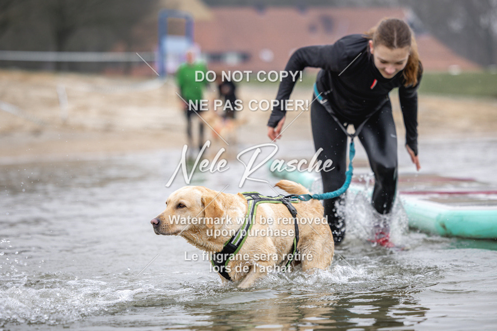 nelerasche_Hulsbeek_Sa1030-1100_654 | nelerasche