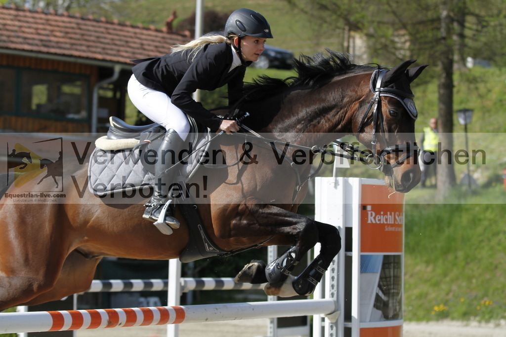 _MG_9114 | equestrian-live-com