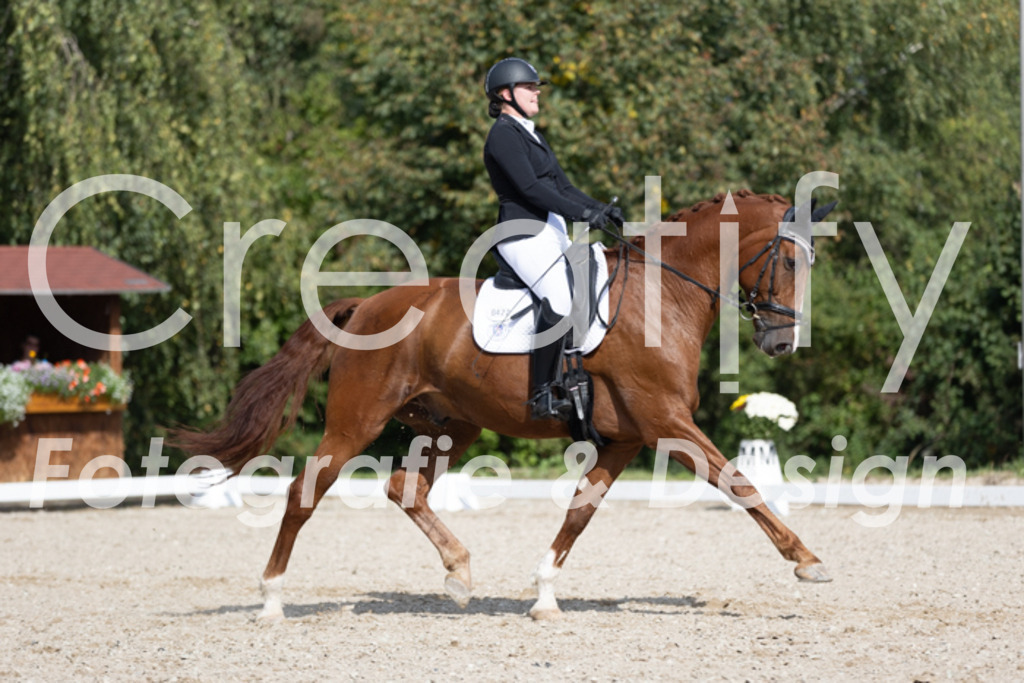 IMG_3957 | Creatify Fotografie