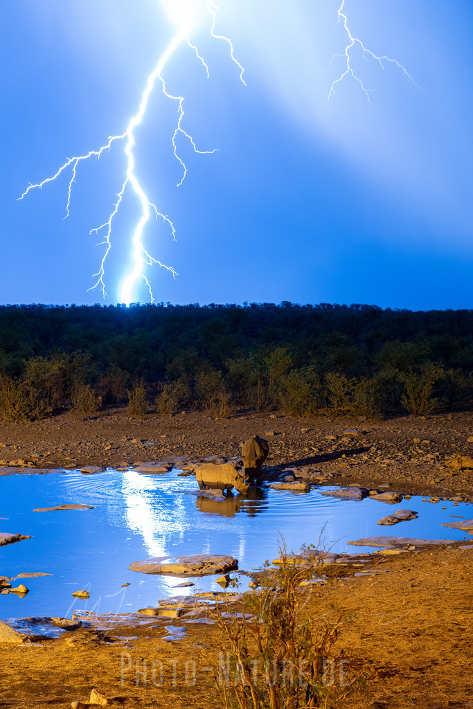 Gewitter | Die Nashörner trinken unberührt vom Gewitter - Realisiert mit Pictrs.com