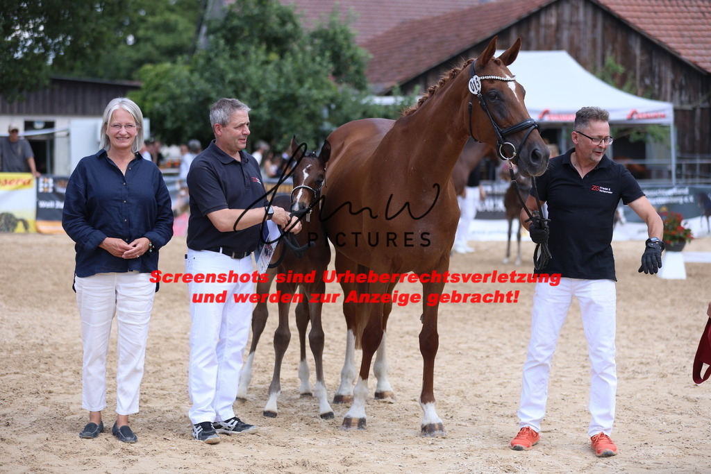 Fohlenschau_Schwäbisch_Hall_dressurbetonte_Fohlen_RESERVE SIEGER_KN 15_4 | lmwpictures - Realisiert mit Pictrs.com