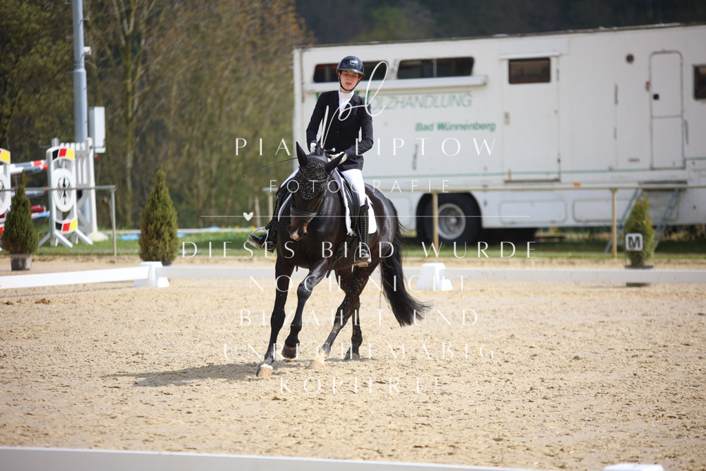 IMGT3673 | pl-fotografie