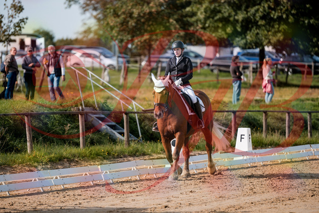 2026_10_03_Siefer-Hof_114220_Z63_23834639 | Professionelle Reitsport-, Turnier- und Eventfotografie von Robert Broda. Galerien mit ausgewählten und bearbeiteten Bildern direkt online ansehen und bestellen.