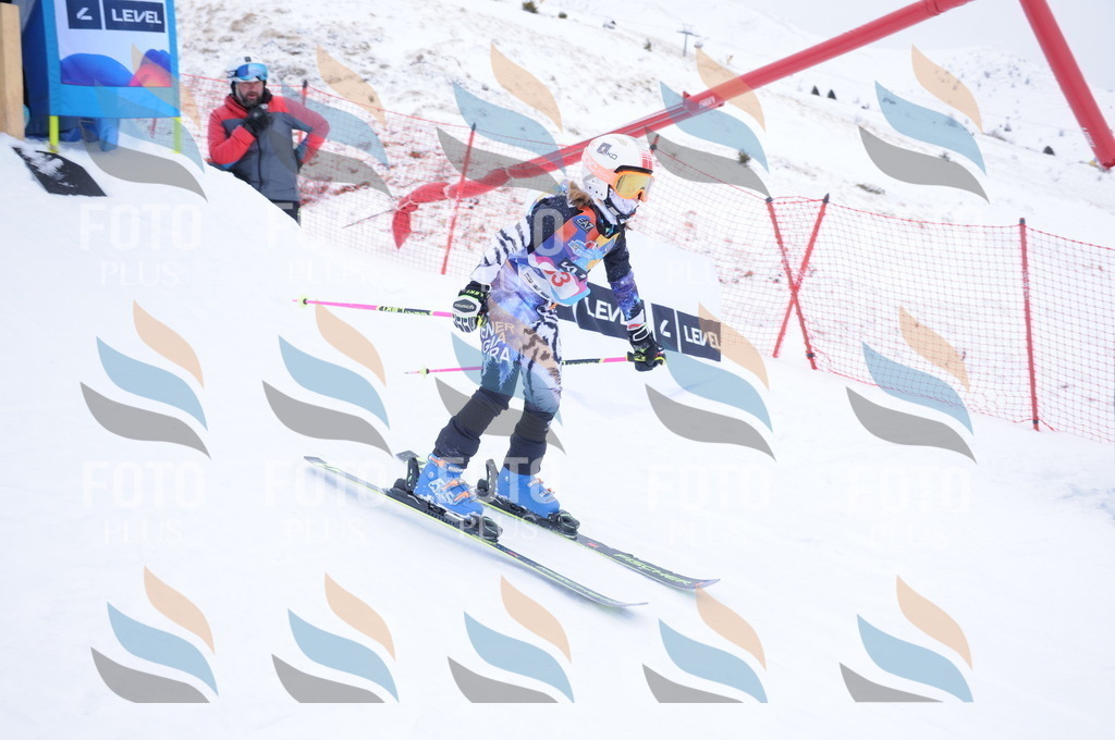 DSC_8190 | holidayphoto