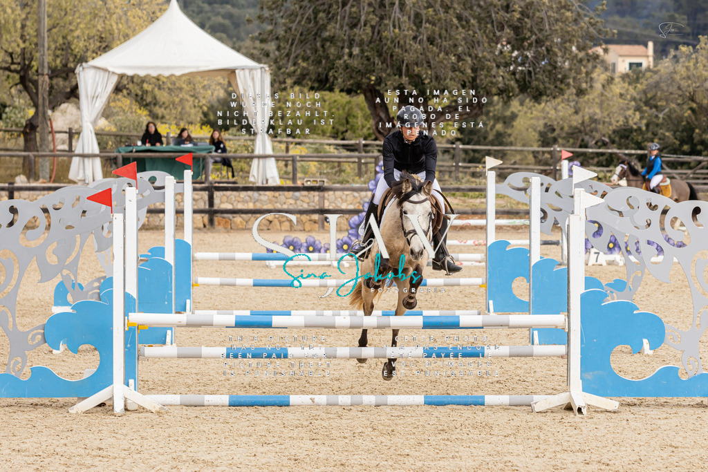 IMG_4642 | s-jay-photography - Realisiert mit Pictrs.com