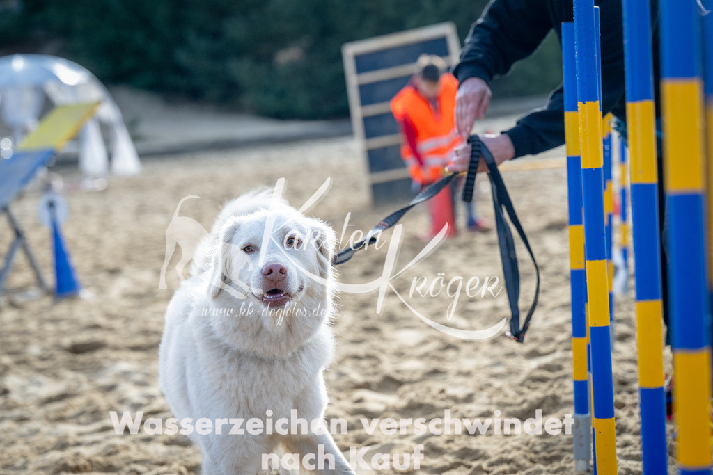 0946_ZZ92775 | kk-dogfotos