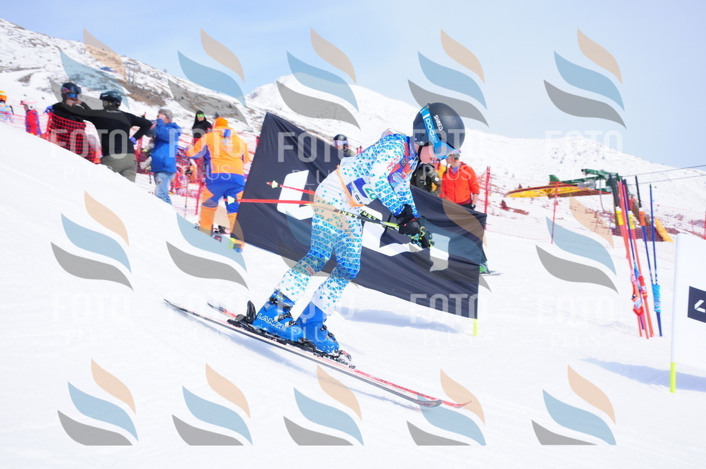 DSC_2760 | holidayphoto