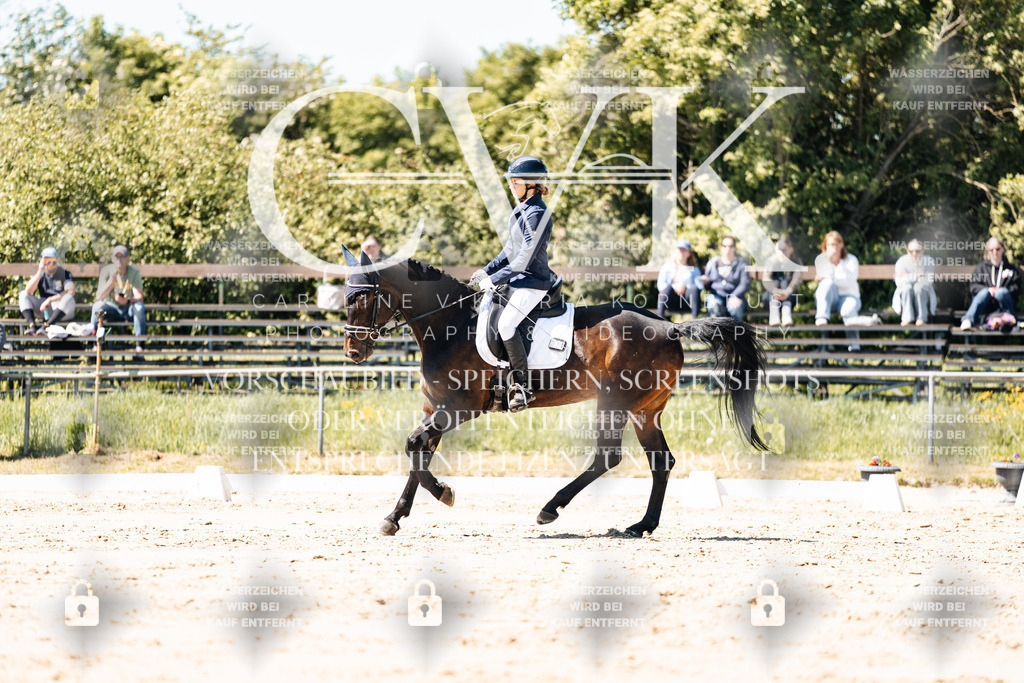 CK905341 | Turnierfotografie Pferdefotografie Trier Rheinland-Pfalz Pferdesport Reitsport Tierfotografie Sportfotografie Pferdevideo Pferdevideografie Equestrianvideography equestrianphotography  - Realisiert mit Pictrs.com