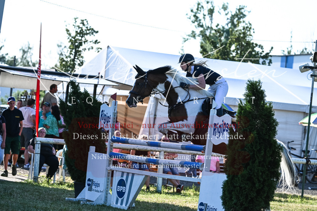 DSC_2860 | Pferde- und Turnierfotografie in Westsachsen. Pferdeportraits, Auftragszeichnungen und intuitive Kunst.