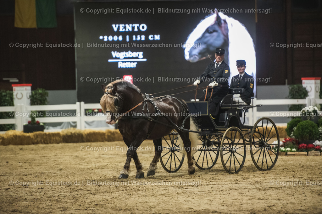 20240302_Hengstvorstellung_Marbach_TOMsPiC_0602 | equistock