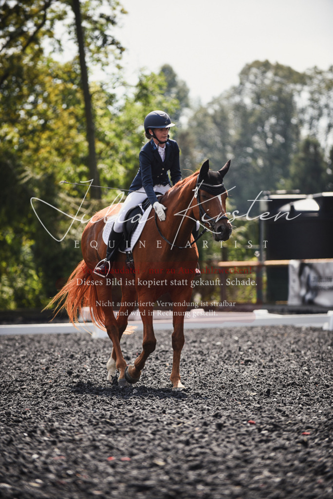 DSC_4130 | Pferde- und Turnierfotografie in Westsachsen. Pferdeportraits, Auftragszeichnungen und intuitive Kunst.