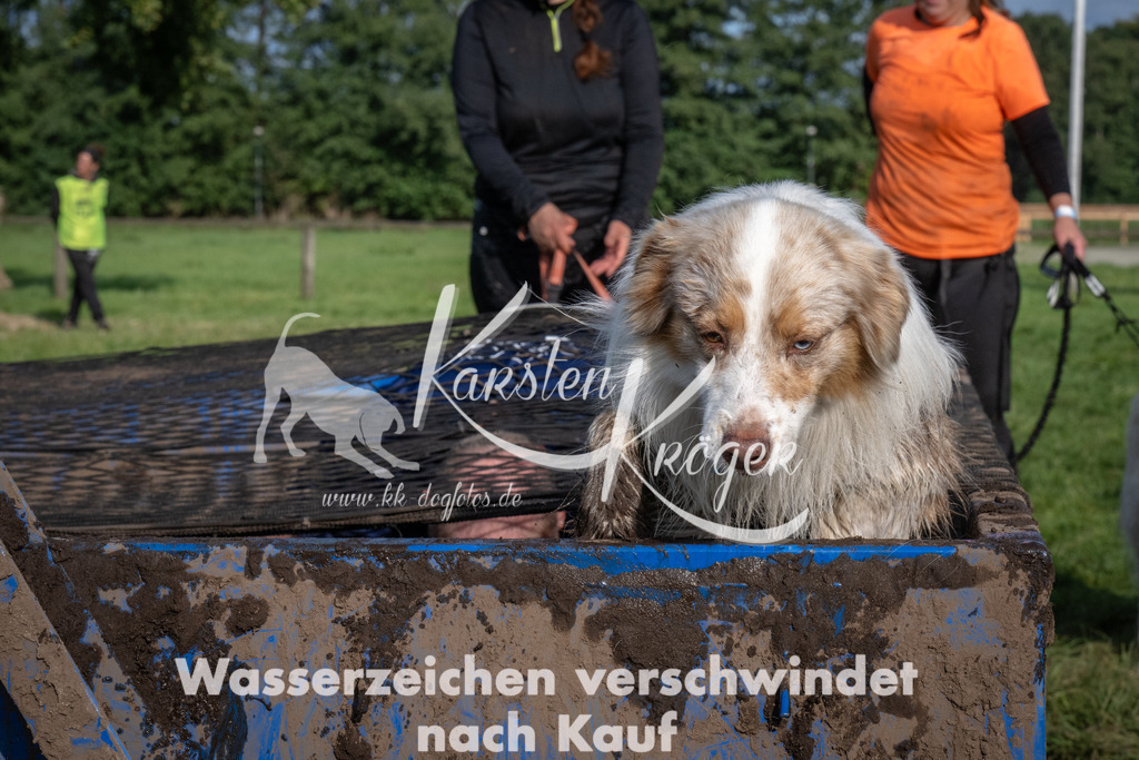 1641_ZZ92793 | kk-dogfotos