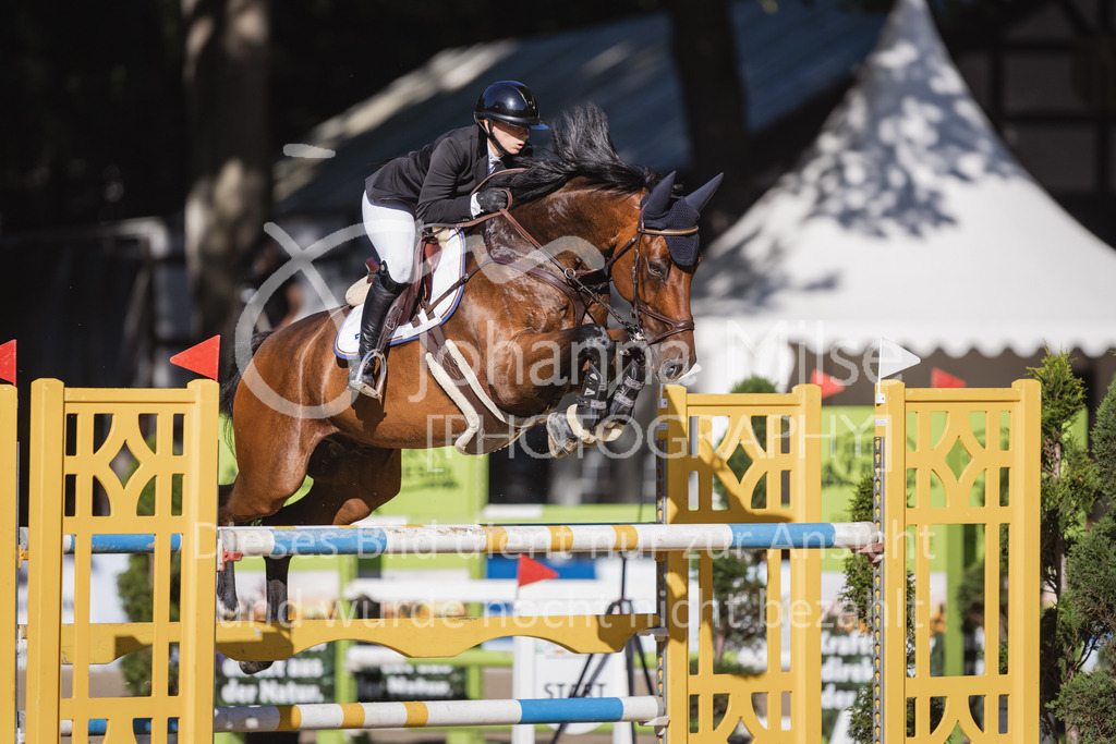 230908_OWLCh_AmateurL-321 | Deine schönsten Turniermomente als professionelle Fotos! Entdecke hochwertige Pferdesport-Fotografie im Online-Shop. Jetzt Fotos finden & bestellen!