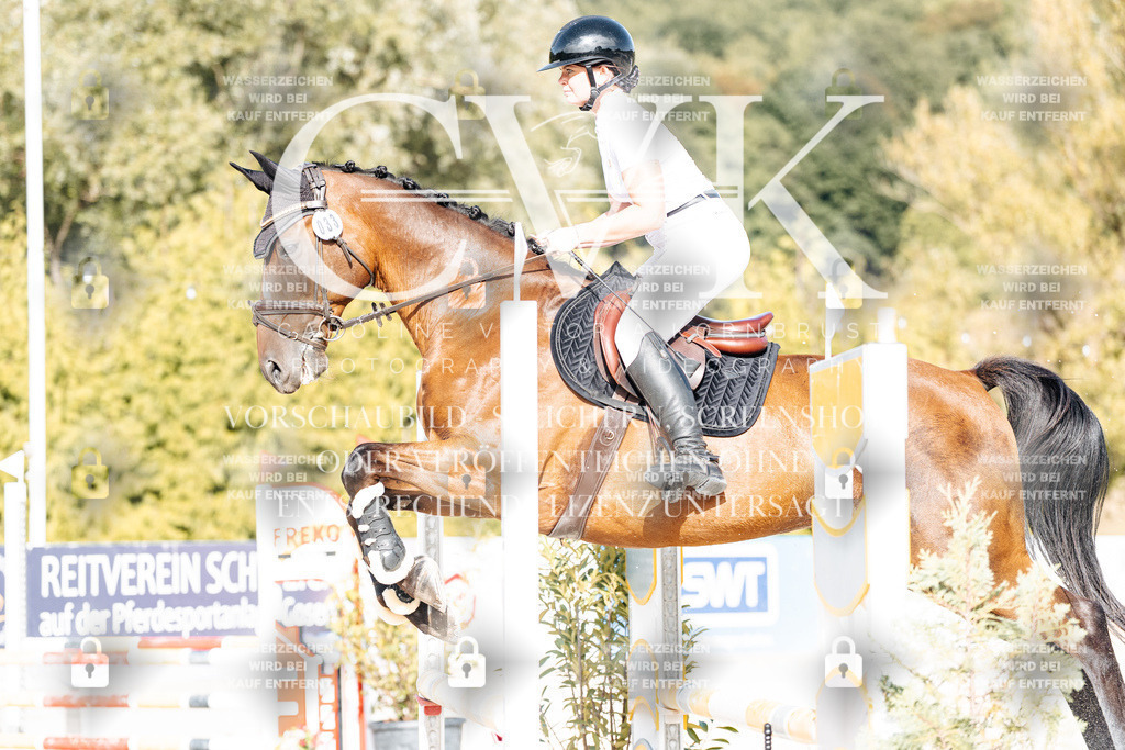 CK909455 | Turnierfotografie Pferdefotografie Trier Rheinland-Pfalz Pferdesport Reitsport Tierfotografie Sportfotografie Pferdevideo Pferdevideografie Equestrianvideography equestrianphotography  - Realisiert mit Pictrs.com