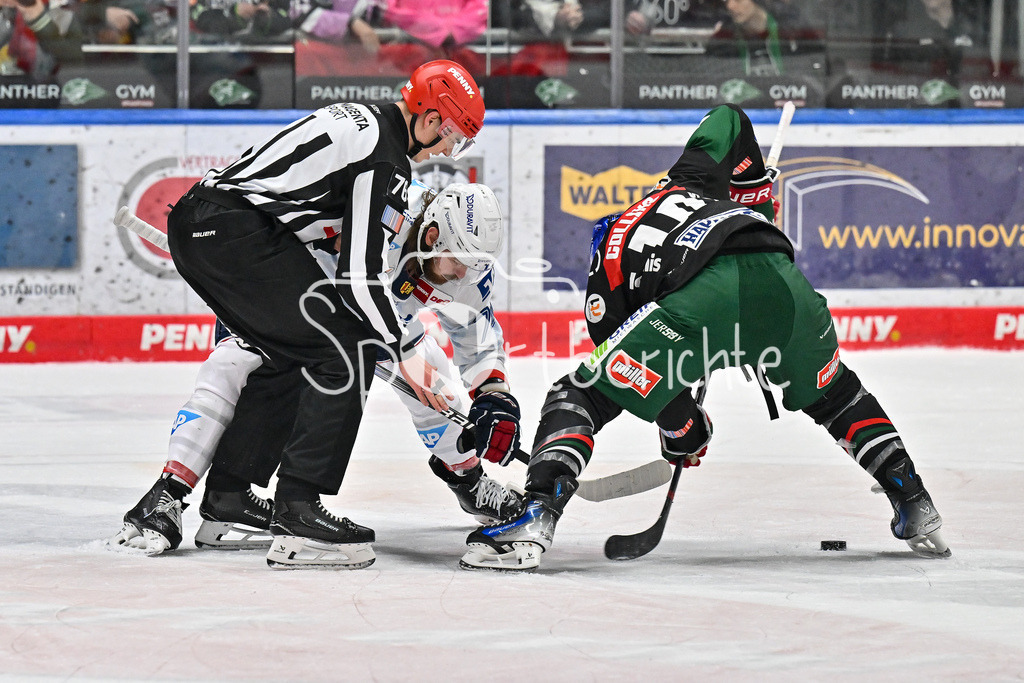 Augsburger Panther - Adler Mannheim | Bully zwischen Leon WILLERSCHEID (Adler Mannheim 73) und Chris COLLINS (Augsburger Panther #10) / Duell / DEL: Augsburger Panther - Adler Mannheim, Curt Frenzel Stadion am 16.02.2025