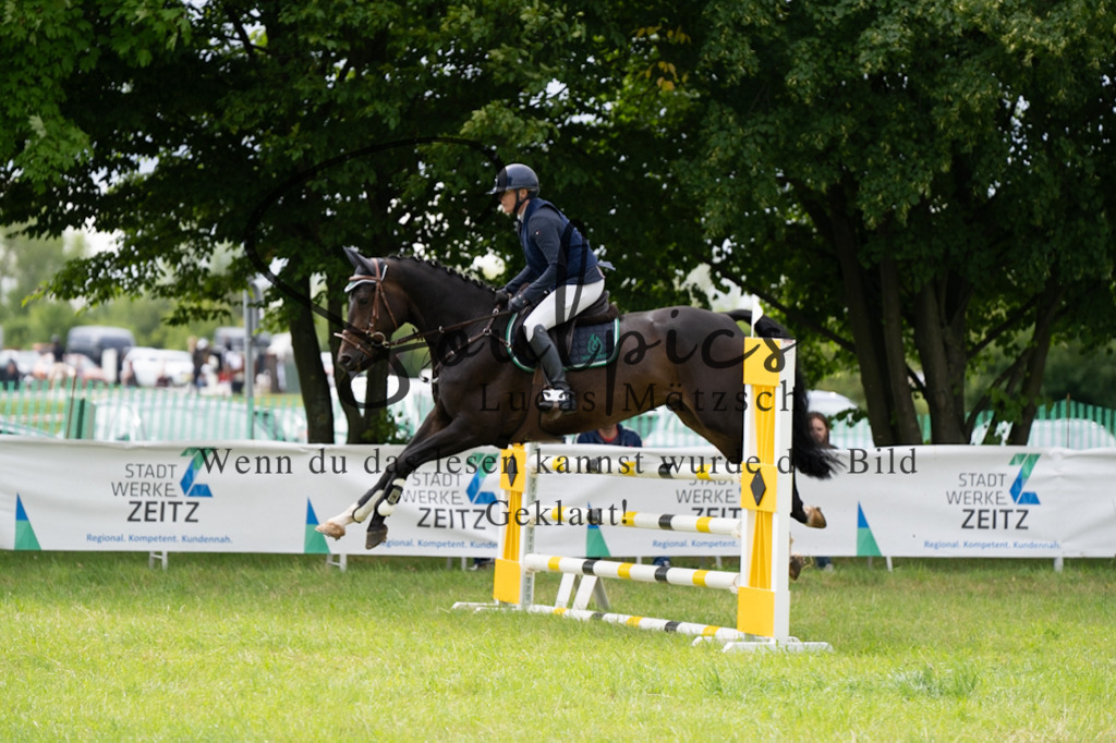 A7V03980 | Pferdefotograf