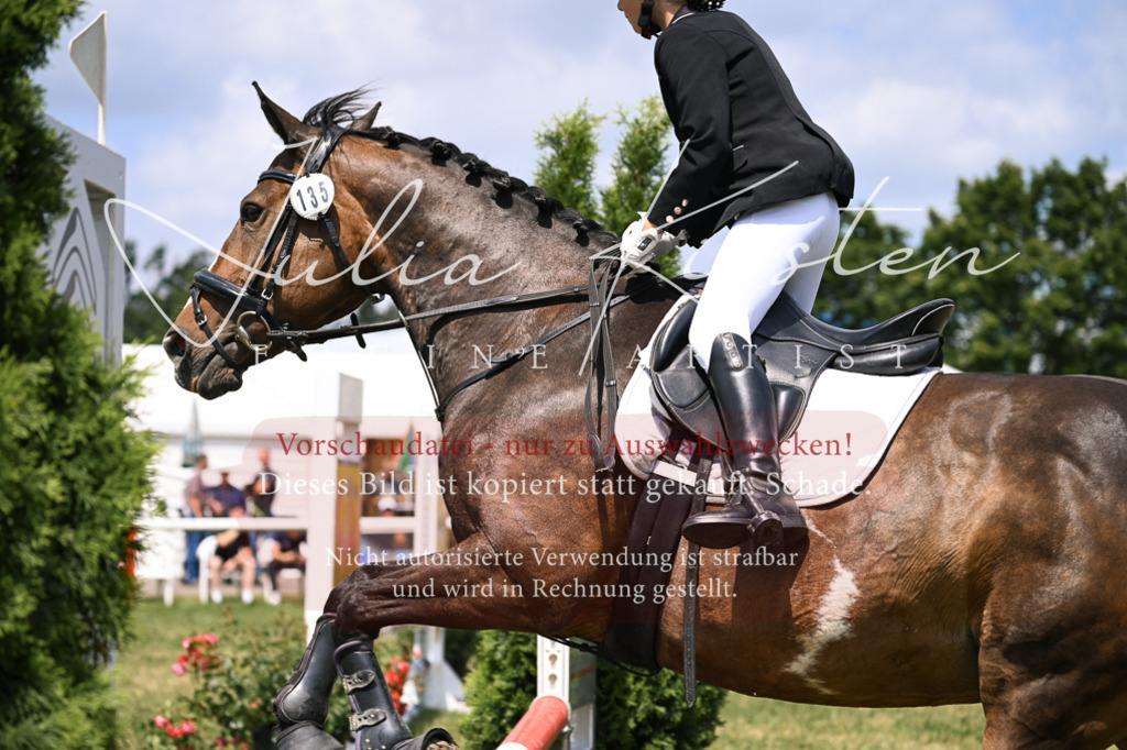 DSC_9241 | Pferde- und Turnierfotografie in Westsachsen. Pferdeportraits, Auftragszeichnungen und intuitive Kunst.