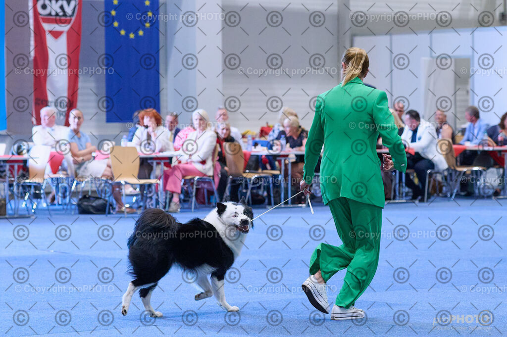 202406_ÖKV-IHA-Tulln24_DSC_3911 | proPHOTO - Realisiert mit Pictrs.com