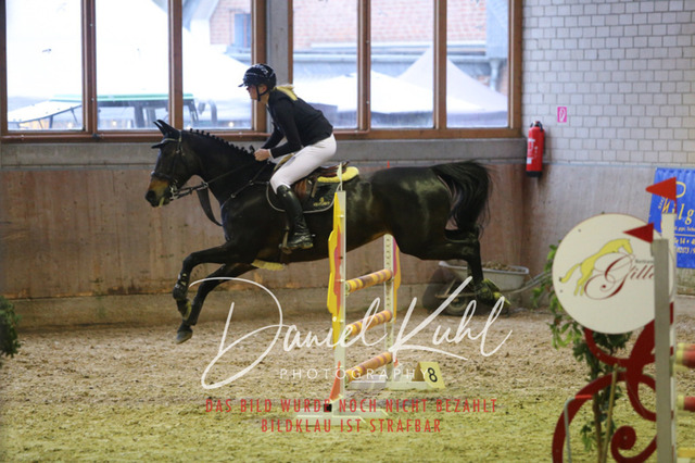 IMG_0809 | Turniersportfotografie; Pferdefotografie; Dressurfotografie