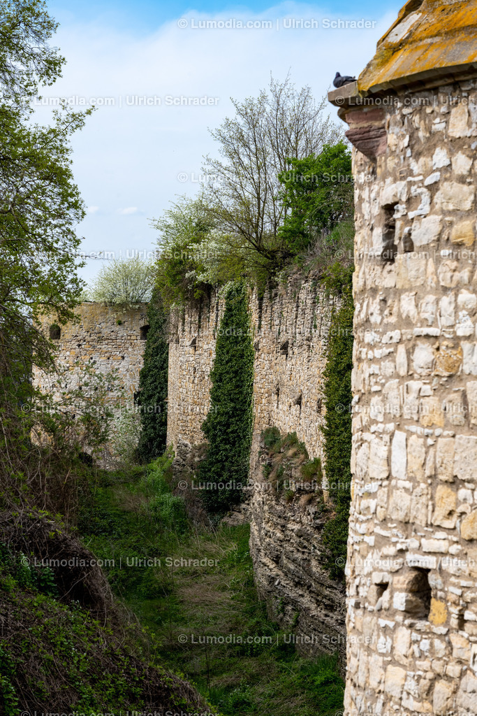 10049-12454 - Burg Querfurt - Sachsen-Anhalt | Stockfoto und Bilderpool mit Bildmaterial aus Deutschland, dem Harz, Halberstadt, Quedlinburg, Wernigerode und weltweit. Qualitativ hochwertige und professionelle Fotos anschauen und kaufen. - Realisiert mit Pictrs.com