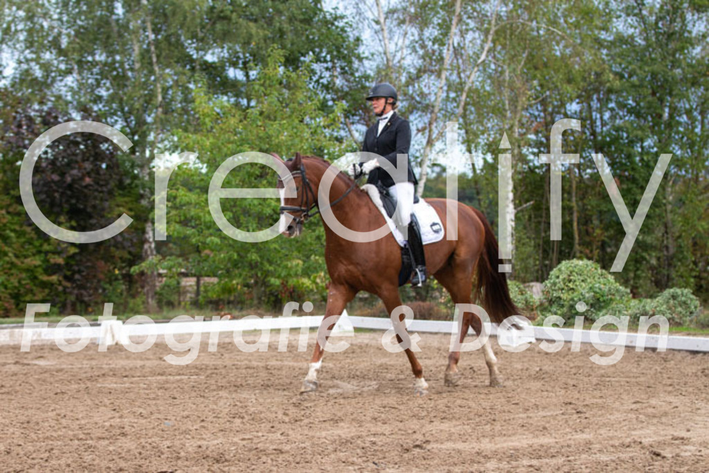 IMG_5091 | Creatify Fotografie