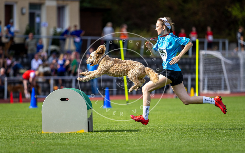 Pfotenfotografie_DV3A1056 | Hundefotografie, Tierfotograf, Pfotenfotografie, Fotoshooting Hund, Hunde Portrait, Hundesport, Hundeportraits, Heideshooting, Hunde, Sportfotograf, Hundefotograf, Turnierhundsport, THS,  - Realisiert mit Pictrs.com