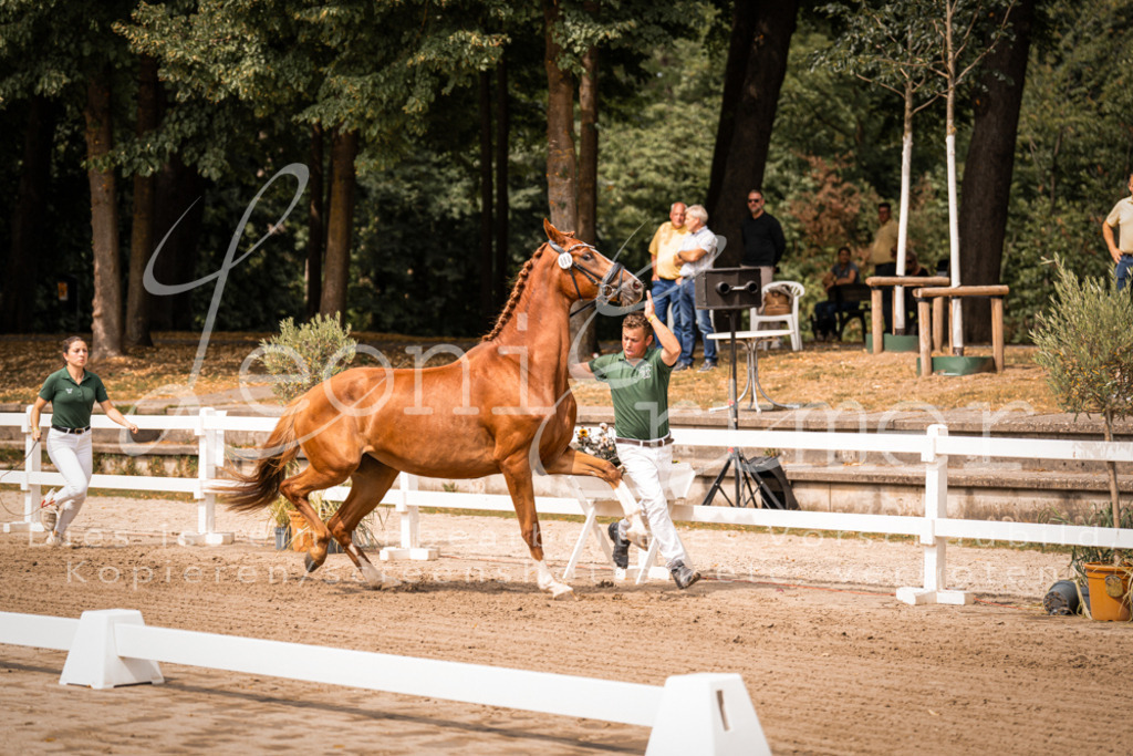 4.Fr00142 | Leoni Ertmer Photography - Realisiert mit Pictrs.com