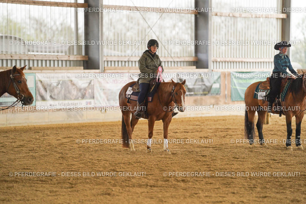 DSC00253 | Pferdegrafie