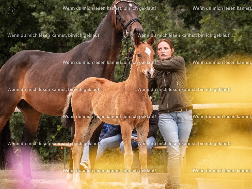 A10I6383 | photographylinaismer - Realisiert mit Pictrs.com