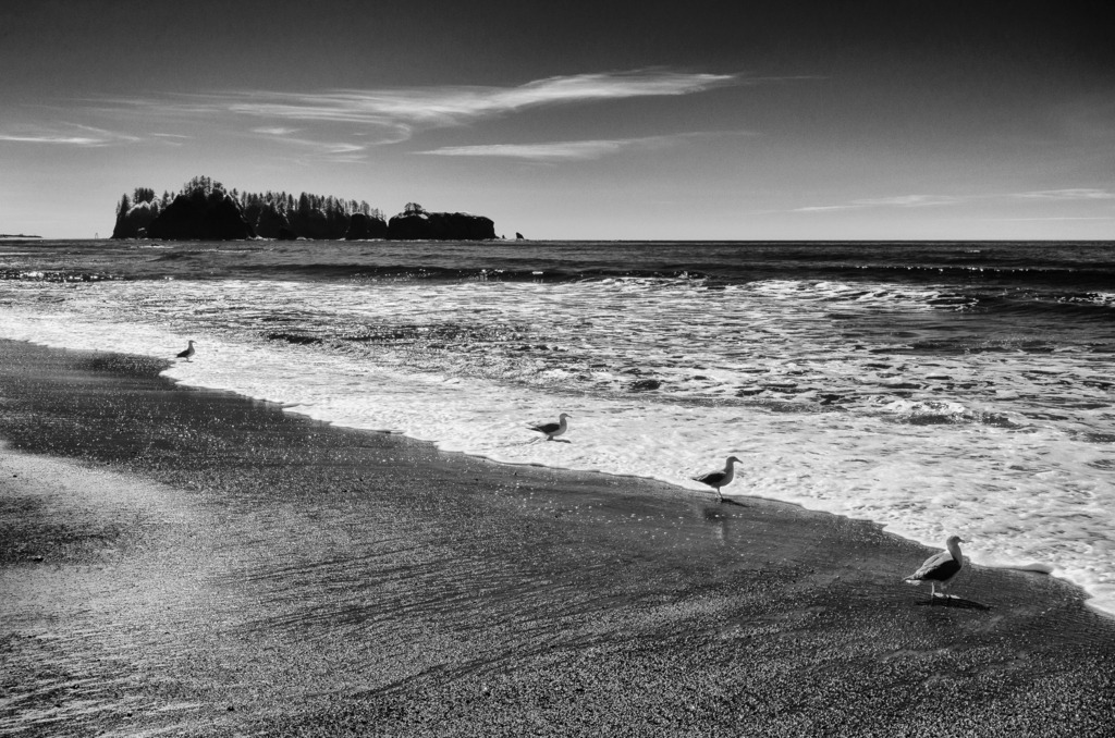 usa-2018-336 | Wilde Küstenlandschaft am Pazifik: Rialto Beach im Olympic National Park im Nordwesten der USA. - Realisiert mit Pictrs.com