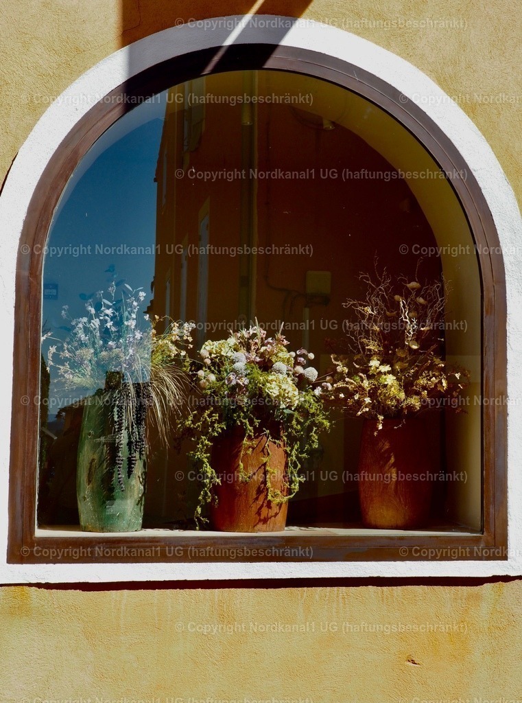 IMG_3028 | OLYMPUS DIGITAL CAMERA          - Realisiert mit Pictrs.com