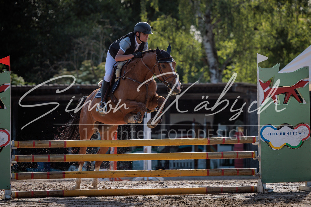 20260529-_3LI0295 | Tierfotografie Pferde, Hunde, Katzen, Haustiere.
Turnierfotografie Reitturniere, Reiten, Springreiten, Dressur in Hanau, dem Main-Kinzig-Kreis und dem Rhein-Main- Gebiet um Frankfurt