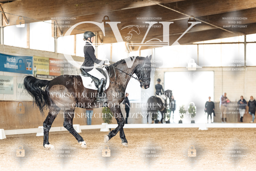 CK902153 | Turnierfotografie Pferdefotografie Trier Rheinland-Pfalz Pferdesport Reitsport Tierfotografie Sportfotografie Pferdevideo Pferdevideografie Equestrianvideography equestrianphotography  - Realisiert mit Pictrs.com