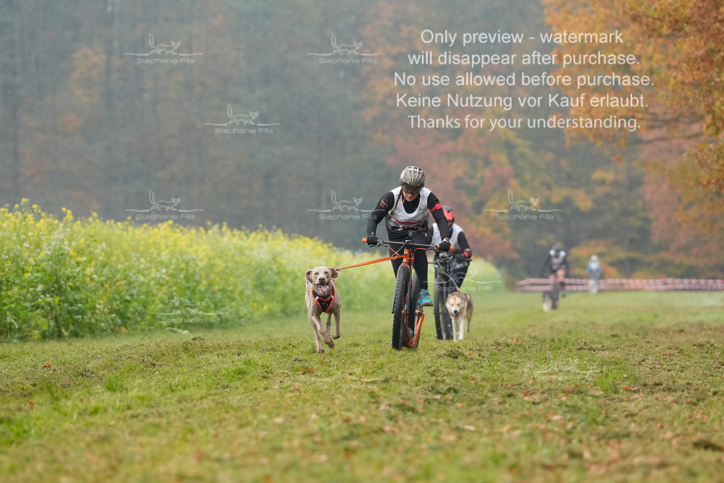 Visbeck_Sa_Scooter_Hc-47 | stephaniefillaphotographie - Realisiert mit Pictrs.com