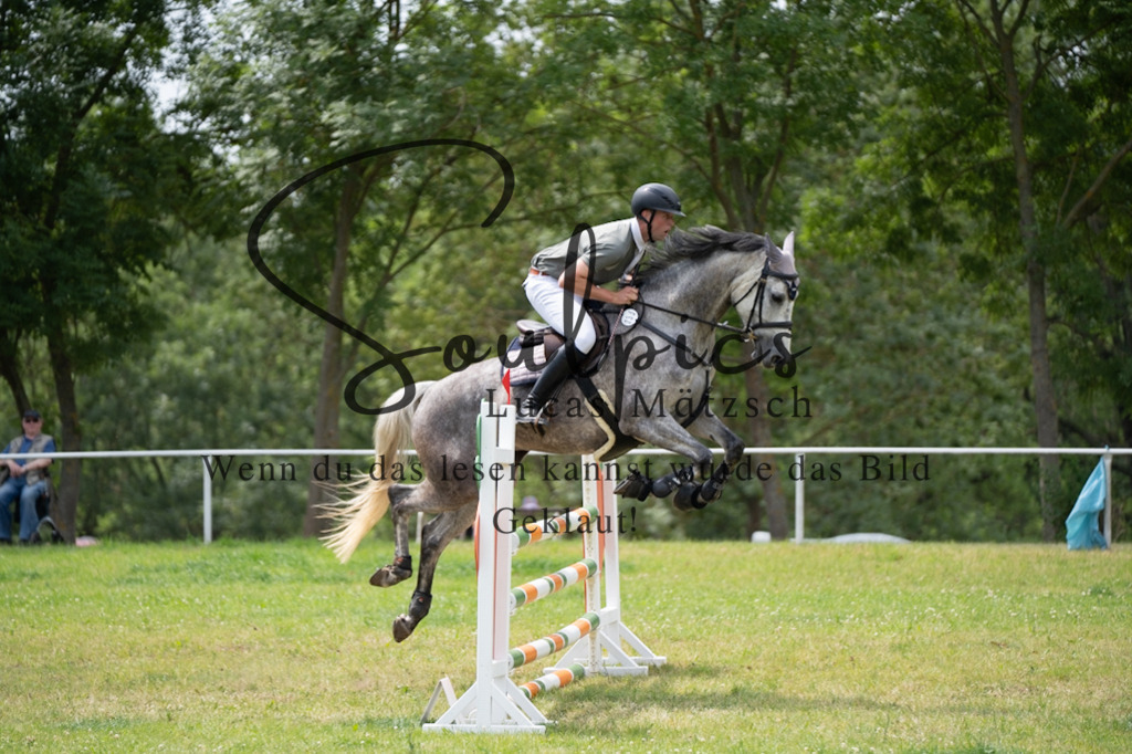 A7V06904 | Pferdefotograf